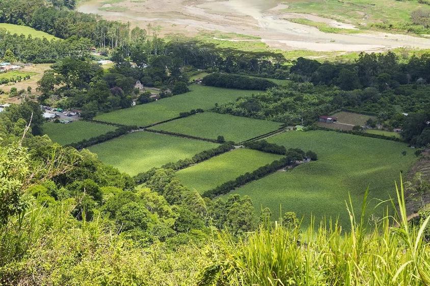 Teren de 5000 mp, în Denta