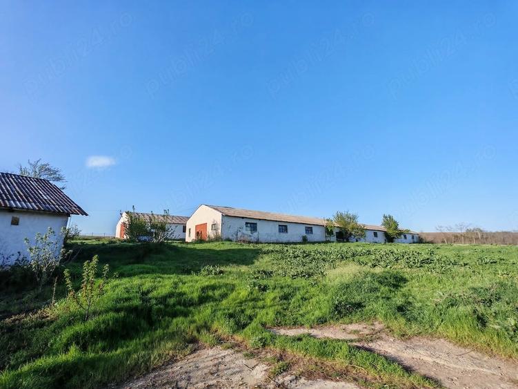 Teren de 7000 mp, în Laza