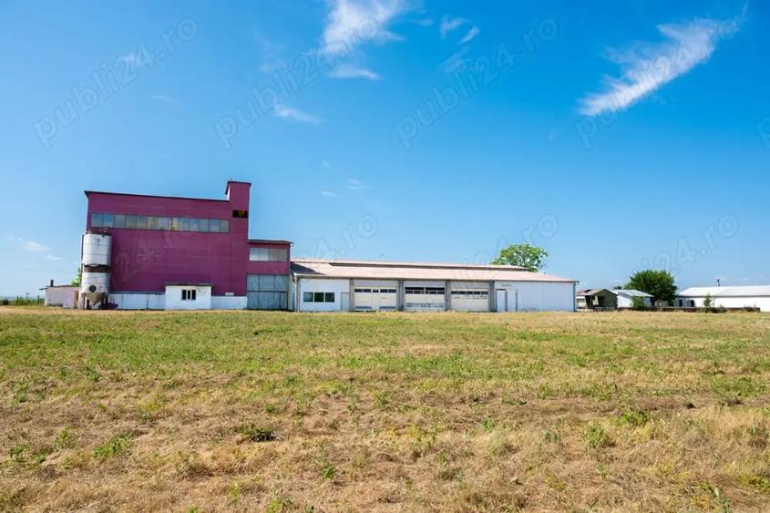 Spațiu comercial, de 7,500 mp, în Roșiori