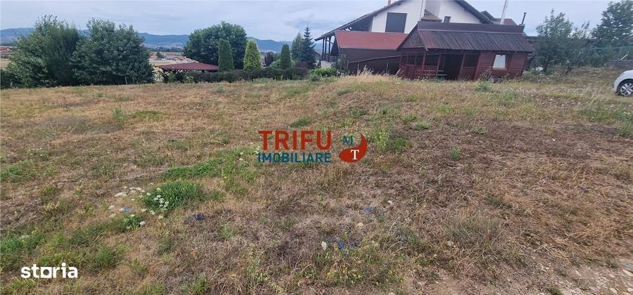 Spațiu comercial, în Șeușa