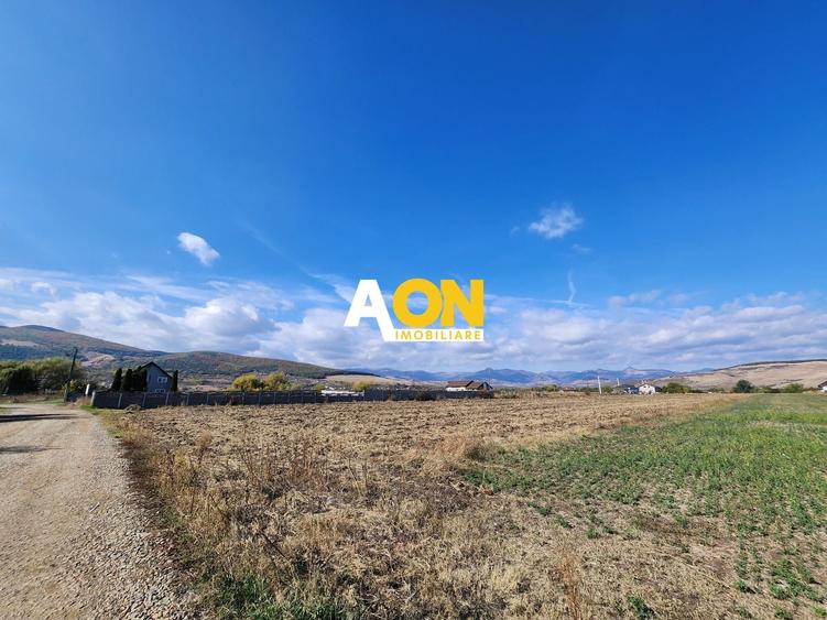 Teren Construcții intravilan de 6000 mp, în Micești