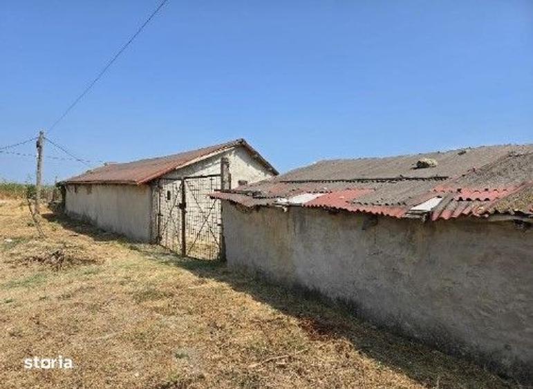 Casa si teren Vadu , ID: R2757056 - 4