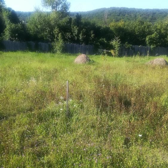 Teren de 600 mp, în Brăileni