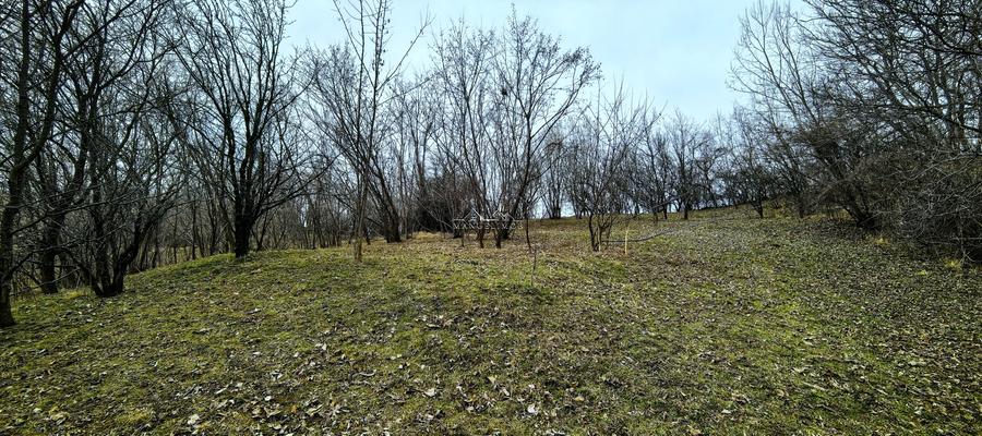 Teren agricol intravilan de 2623 mp, în Est