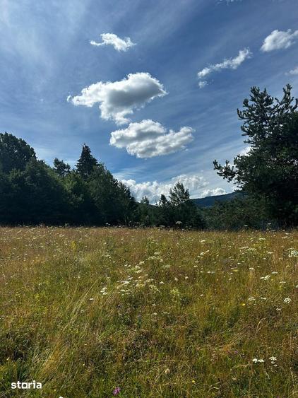 Teren de 5833 mp, în Bistra
