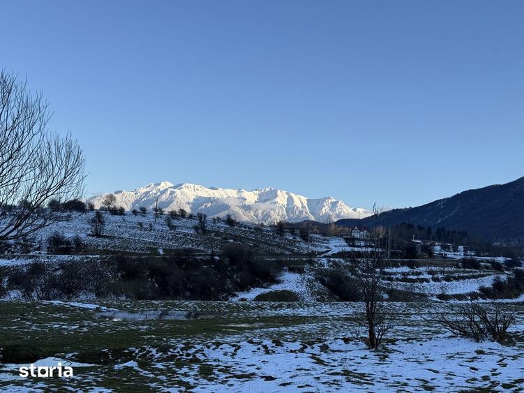 Teren intravilan 667 mp in Zarnesti zona Grui pentru casa - 2
