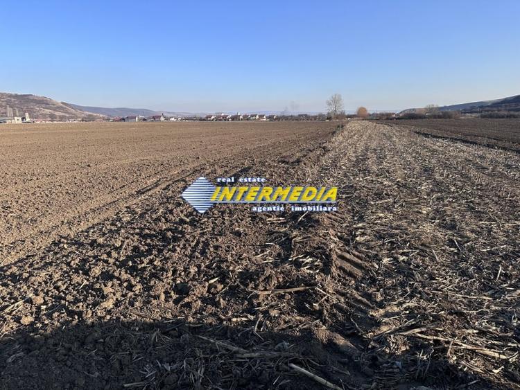 Teren Construcții intravilan de 600 mp, în Șard
