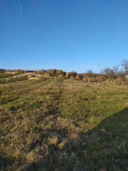 Teren intravilan DE VÂNZARE, NEGOCIABIL, Campina (jud Prahova), cartier Voila - 5