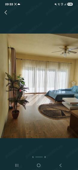 Casă cu Teren 6000 Mp în Târlișua