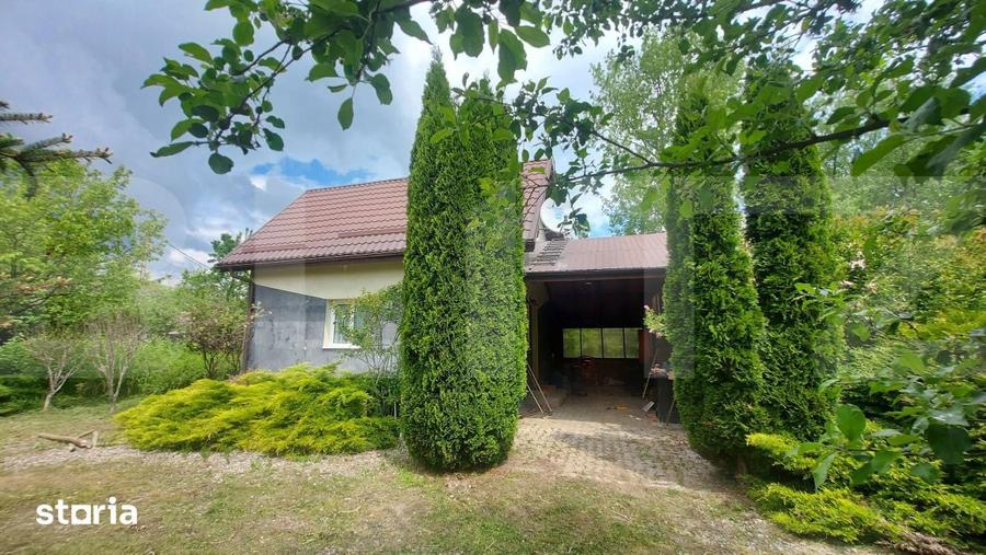 Casa cu teren de 8.570 mp cu iaz si livada I Bacel - 5