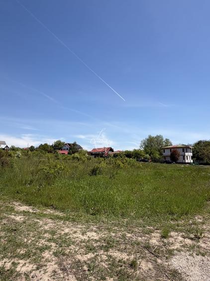 Teren Construcții intravilan de 7500 mp, în Brănești