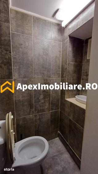 Casă cu 4 camere cu Teren 250 Mp în Domenii