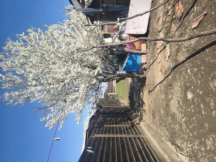 Casă cu Teren 3500 Mp în Albota
