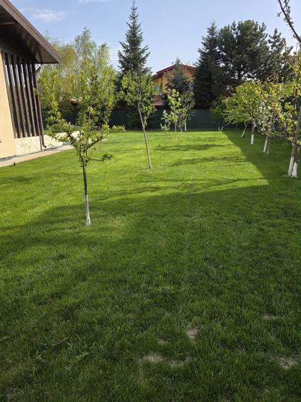 Casă individuală cu 4 camere cu Piscina în Chitila