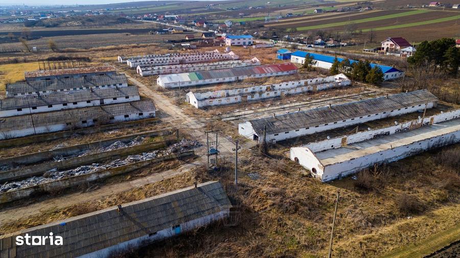 Teren de 39600 mp, în Traian