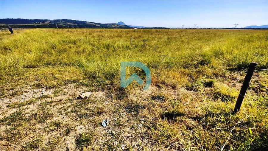 Teren Construcții intravilan de 11600 mp, în Tohanu Nou