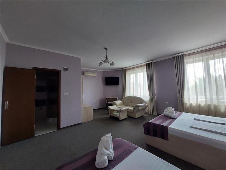 Casă individuală cu 14 camere cu Piscina în Micălaca