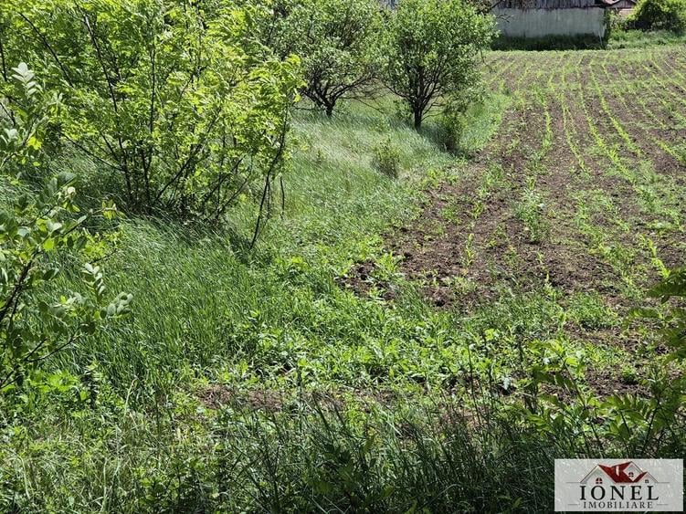 Teren Construcții intravilan de 1412 mp, în Sântimbru