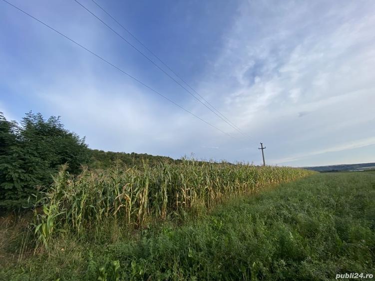 Teren de 2000 mp, în Pătrăuți