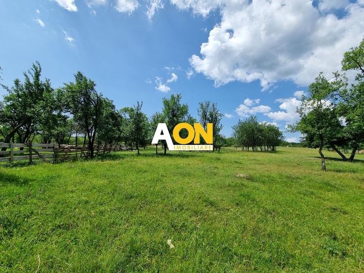 Teren Construcții intravilan de 5898 mp, în Periferie