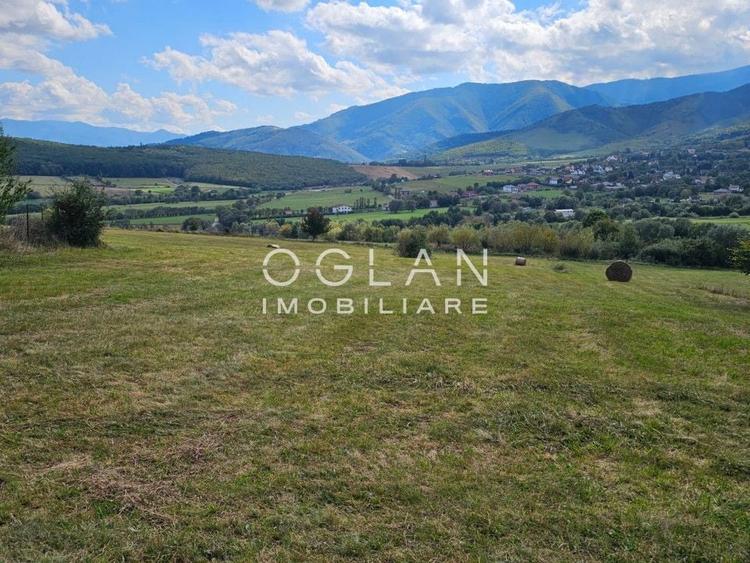 Teren Construcții intravilan de 3500 mp, în Turnișor