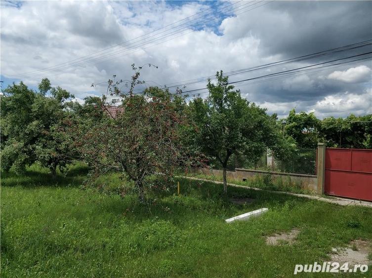 Casă cu 5 camere cu Teren 3500 Mp în Sântana