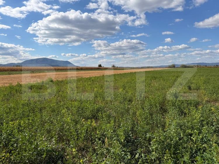 Teren Construcții intravilan de 3300 mp, în Stupini