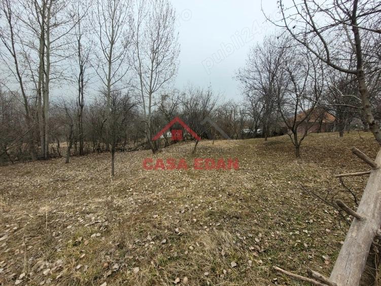 Casă cu Teren 1358 Mp în Gura Beliei