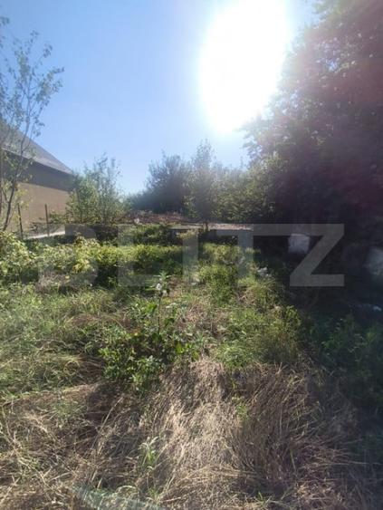 TEREN INTRAVILAN DE VANZARE - LUNCA MURESULUI 700 MP - 2