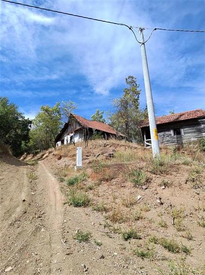 Teren Construcții intravilan de 888 mp, în Mihăileni