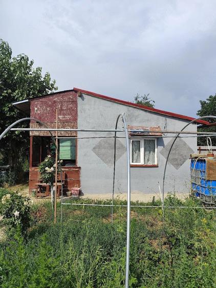 Vand teren extravilan in apropierea ora?ului Oradea - 3