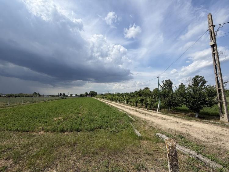 Teren de 10000 mp, în Gara Ianca