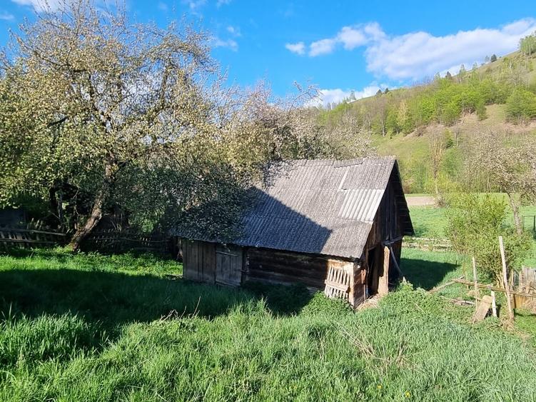 Casă individuală cu 2 camere cu Teren 677 Mp în Mușca