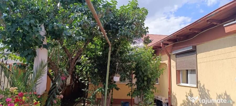 Casă cu 3 camere în Viile Noi