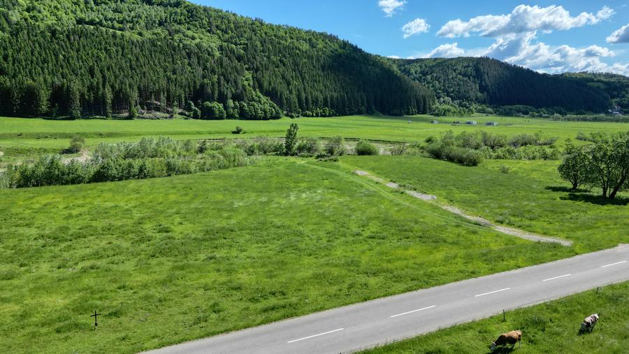 Teren Construcții intravilan de 1269 mp, în Bran