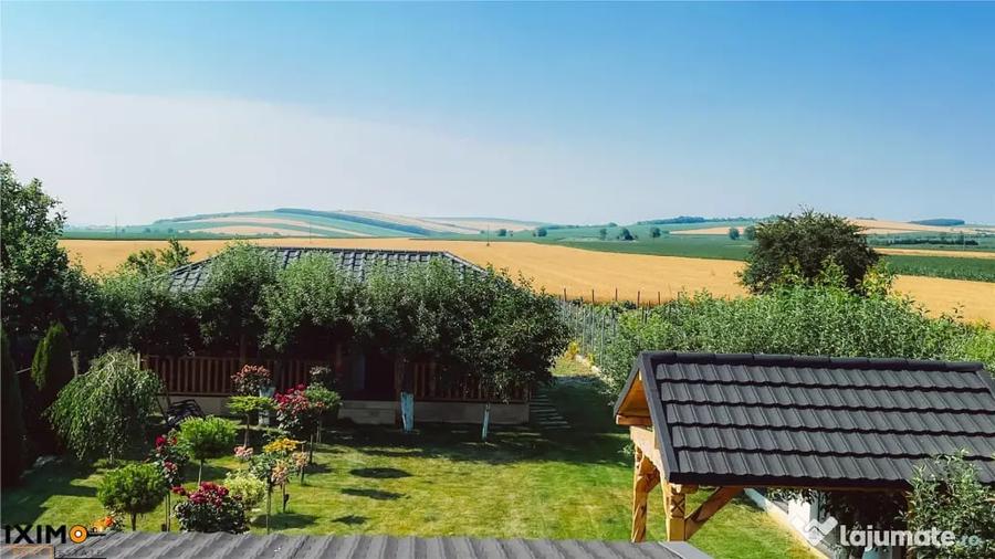 Casă cu 6 camere cu Teren 10100 Mp în Traian