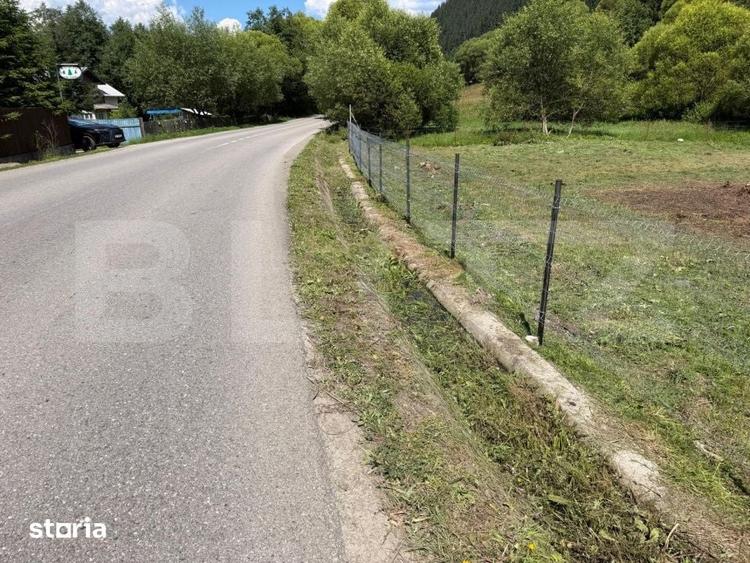 Teren de 50000 mp, în Șaru Dornei