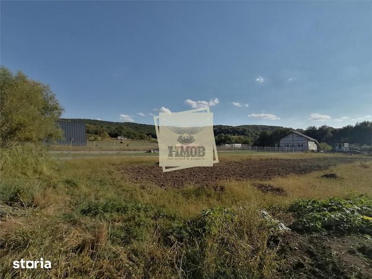 Teren intravilan 3500 mp zona Hamba - 7