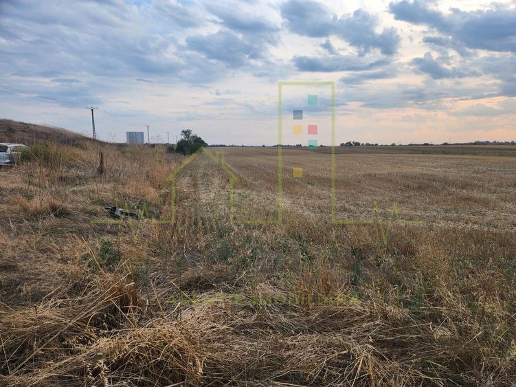 Teren agricol extravilan de 20000 mp, în Șag