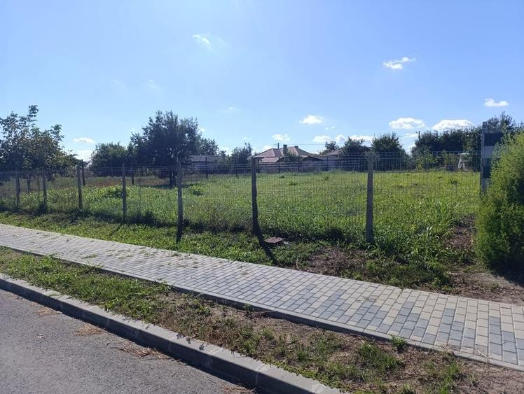 Teren de vanzare - 5