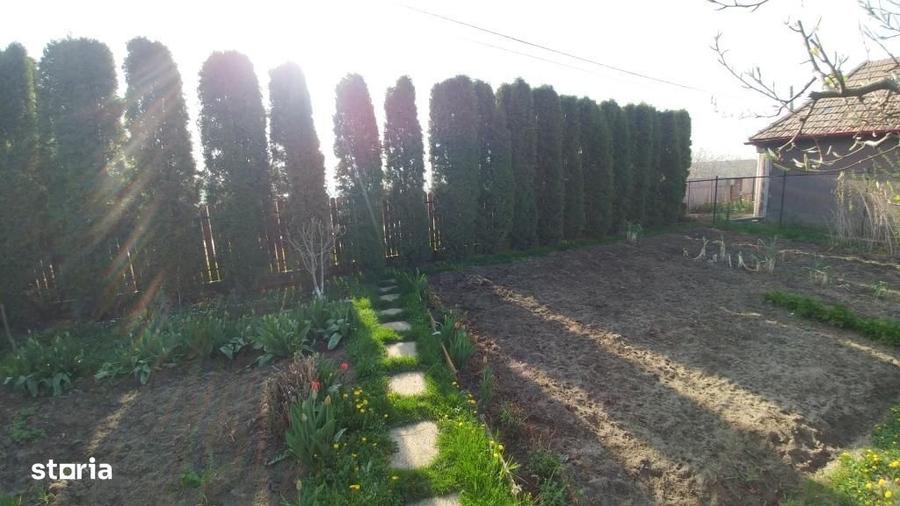 Casă cu 3 camere în Central