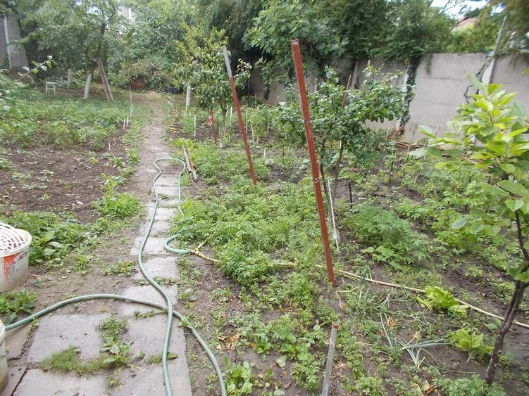 Apartament cu 2 camere decomandat în Bălcescu