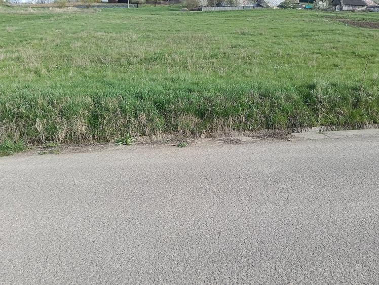 Teren de 2000 mp, în Stânca