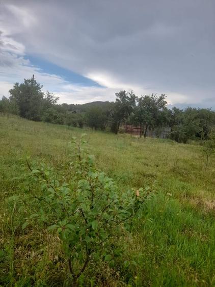 Casa de vanzare! - 7