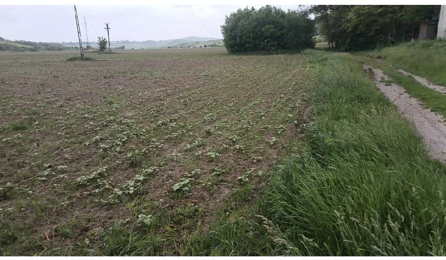 Teren de 15000 mp, în Șendriceni