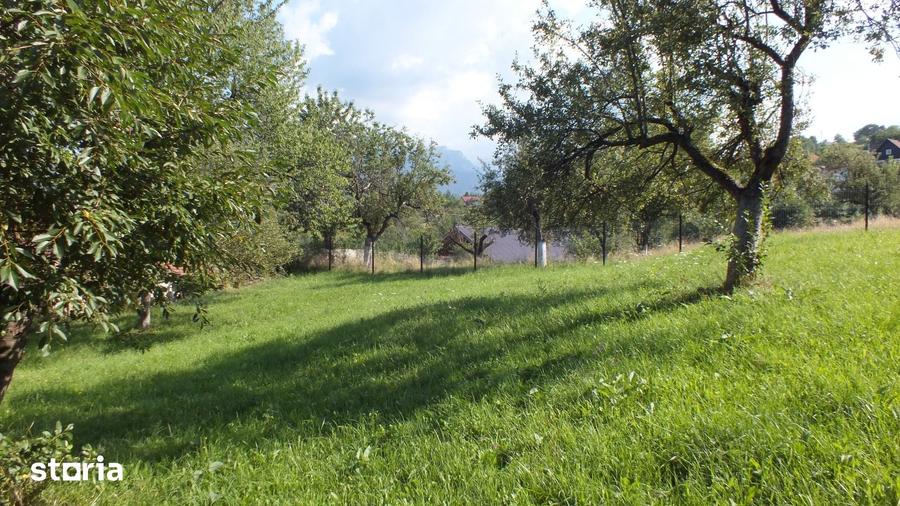 Teren de 1364 mp, în Bran