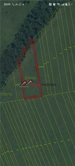Teren agricol extravilan de 4500 mp, în Ciurila