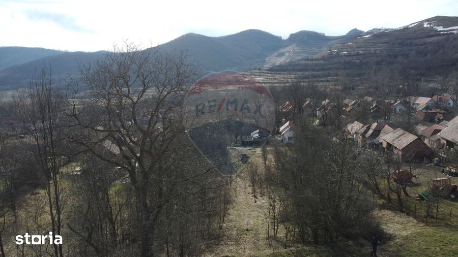 Teren de 1271 mp, în Livezile