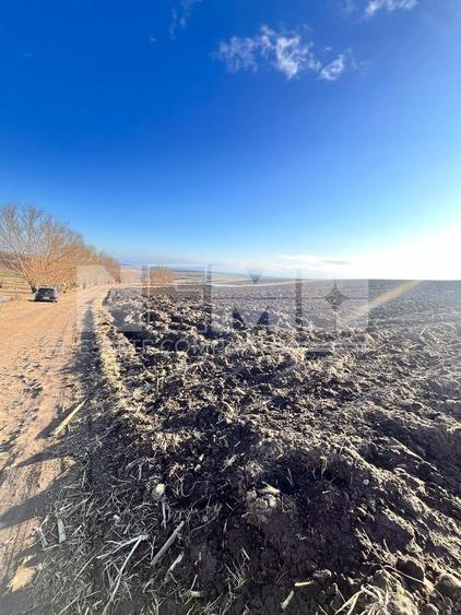 Teren agricol extravilan de 2500 mp, în Moara Nica