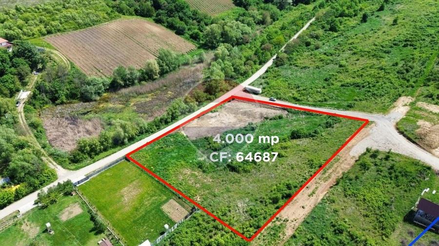 Teren Construcții intravilan de 4000 mp, în Vișani